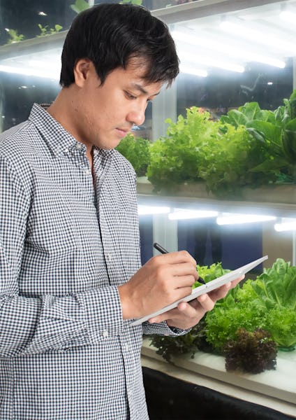 Grow light - note taking